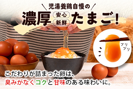 児湯の赤卵 30個×3か月定期便 ※2026年3月、4月、5月配送 【C464-030405】