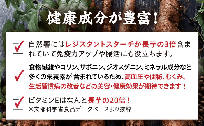 【味付け不要！本格自然薯とろろ】自然薯 とろろ （醤油味）55g×8個＜自然薯王国＞那珂川市 [GAH001]