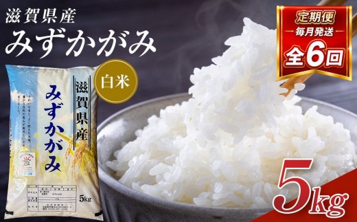 【令和8年産 新米 先行予約】近江米みずかがみ白米5kg×6回定期便※2026年9月～発送