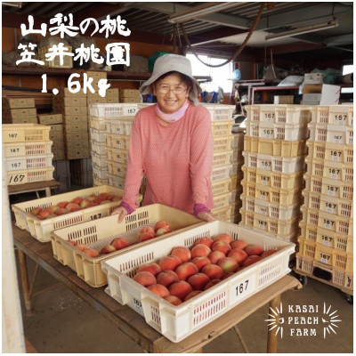 
            ＜2025年先行受付＞厳選朝採り桃 山梨の笠井桃園の桃 1.6kg【1456448】
          