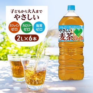 麦茶 サントリー 2L 6本 ペットボトル セット 麦茶