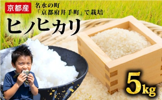 【先行受付】ヒノヒカリ 5kg 令和7年産 精米 白米  お米 米 こめ ご飯 おにぎり 弁当 産地直送 国産 京都産 井手町