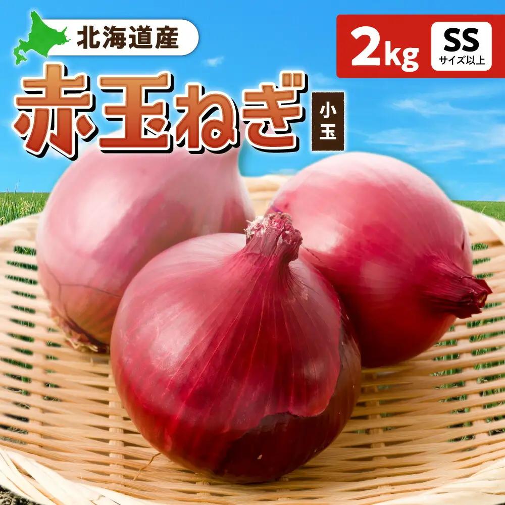 赤玉ねぎ 北海道産 小玉 2kg SSサイズ以上 たまねぎ