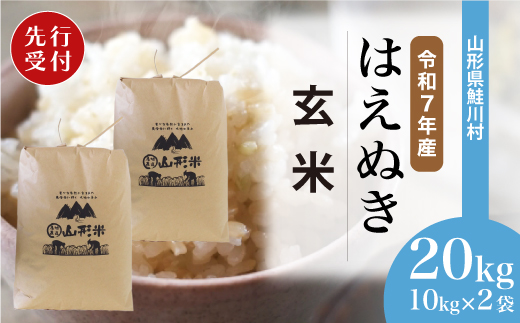 ＜令和7年産米先行受付＞ 令和8年3月中旬発送　はえぬき 【玄米】 20kg （10kg×2袋） 鮭川村