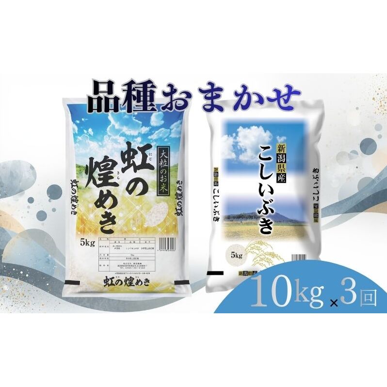 【ふるさと納税】【8月上旬より配送】 新潟県産 品種おまかせ 10kg 3か月定期便 新潟県 新潟市産 令和7年産 お米 精米 米 ご飯 送料無料　お届け：令和8年8月上旬から発送