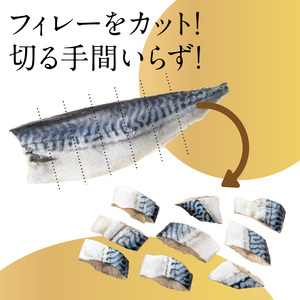 訳あり 塩サバ 切身 3kg 1.5kg 1ケース バラ詰め 冷凍 ノルウェー産 サバ ふり塩 サイズ ばらつき スレあり 訳あり品 食べやすいサイズ カット 焼くだけ お手軽 簡単 美味しい 北海道