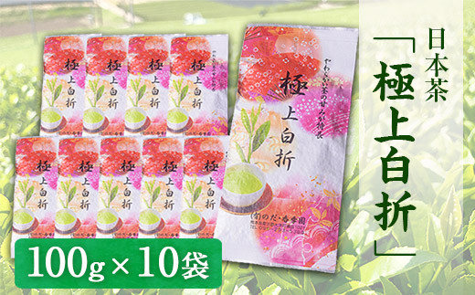独特の甘み・日本茶「極上白折」【100g×10袋】  大津町産  のだ・香季園《60日以内に出荷予定(土日祝除く)》---so_nodagokusira_60d_r7_23000_10h---