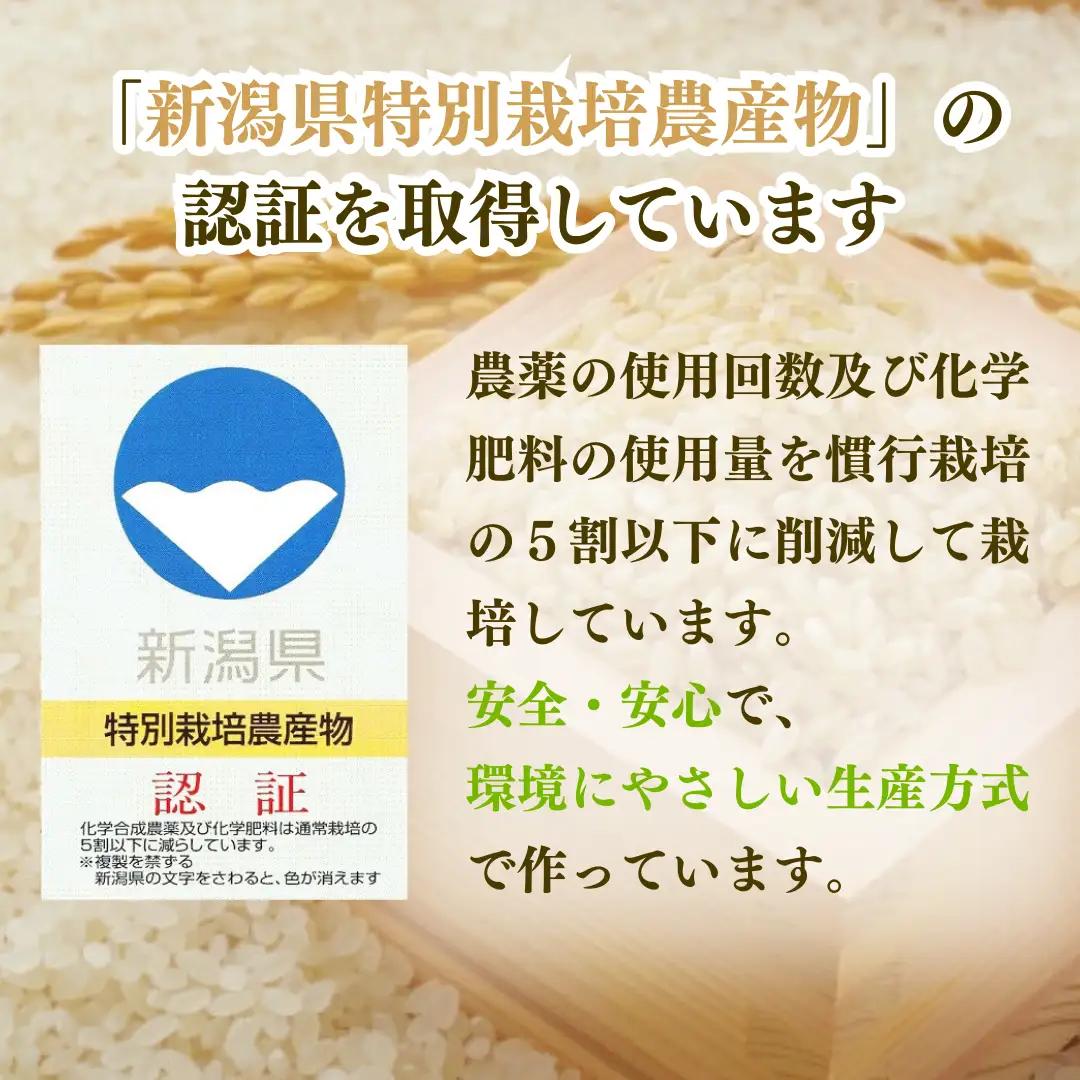 【定期便】 新潟産コシヒカリ 出雲崎の輝き 2kg×6か月 | コシヒカリ 合計12kg 令和7年