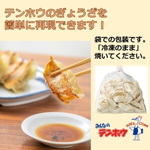 ぎょうざ 3袋[56粒×3袋] / テンホウ 冷凍 餃子 大容量 信州 長野県 諏訪市 諏訪 [21-04]