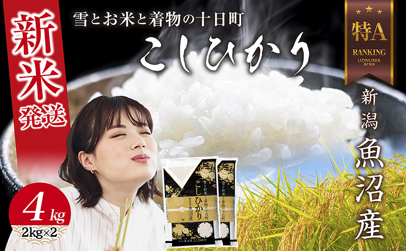 令和6年産 新潟県 魚沼産 コシヒカリ お米 4kg  (2kg×2袋) 精米済み お米 こめ 白米 新米 こしひかり 送料無料 魚沼 十日町