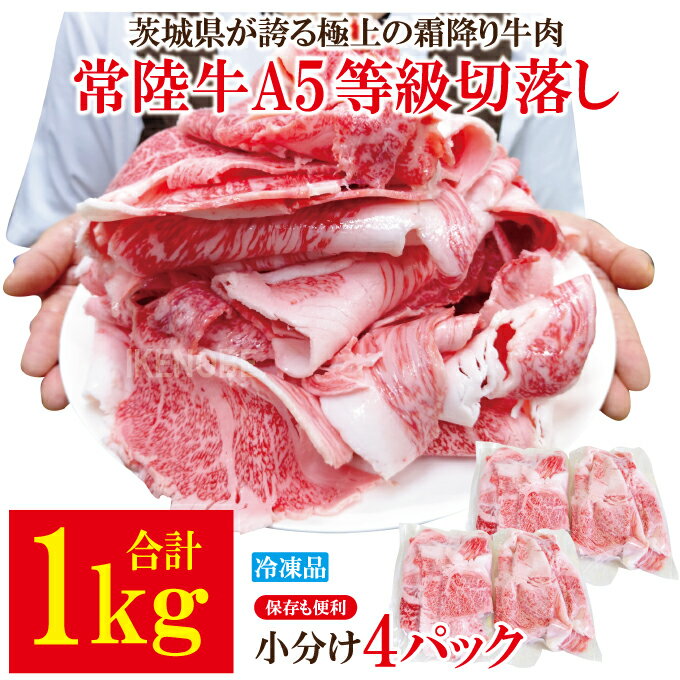 【ふるさと納税】常陸牛 A5等級 切落し 計1kg [500g×2パック] 茨城県共通返礼品 国産 5等級 A5ランク 茨城県 牛肉 肉 霜降り 切り落とし きりおとし 小間切れ 冷凍 牛丼 すき焼き カレー 小分け おかず【そうざい男しゃく】【ho1561】【ho1561-1】