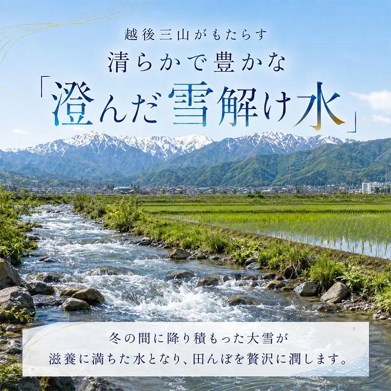【令和8年産 先行予約】 魚沼産コシヒカリ 精米 20kg（5kg×4）