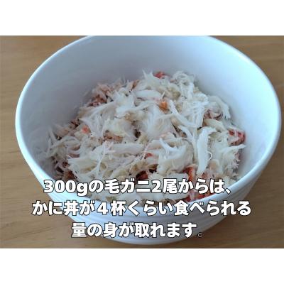 ふるさと納税 広尾町 ボイル毛ガニ　350g　1尾(茹で冷凍)(0102) |  | 03