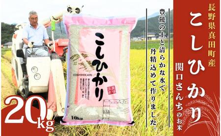 お米 コシヒカリ 米 令和7年産 20kg 関口さんちのお米