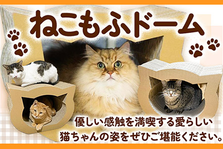 猫用品 ねこもふドーム 濱田紙販売株式会社 ネコ《90日以内に出荷予定(土日祝除く)》 和歌山県 紀の川市 ペット用品 段ボール ダンボール 爪とぎ ツメとぎ