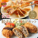 【ふるさと納税】乳豚 餃子50個＆メンチカツ15個セット ぎょうざ 豚メンチカツ 揚げ物 惣菜 セット 送料無料【A7-039】