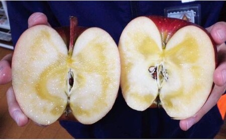 【先行予約】岡田りんご園のりんごジュース 335ml×6本セット 〈 品種：サンふじ、王林 〉【 りんご ジュース ギフト 岩手 陸前高田 】2025年1月以降順次発送 RT2483