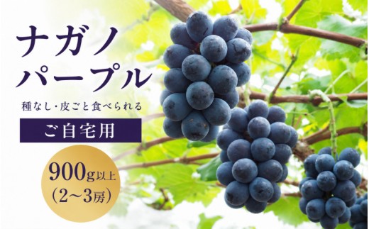 
                  ナガノパープル【2026年先行予約】除草剤不使用 家庭用 2～3房 900g以上 ぶどう 葡萄 くだもの 果物 ナガノパープル 農家直送 新鮮 種なし 皮ごと 岡山県 真庭市 【koko019】
                