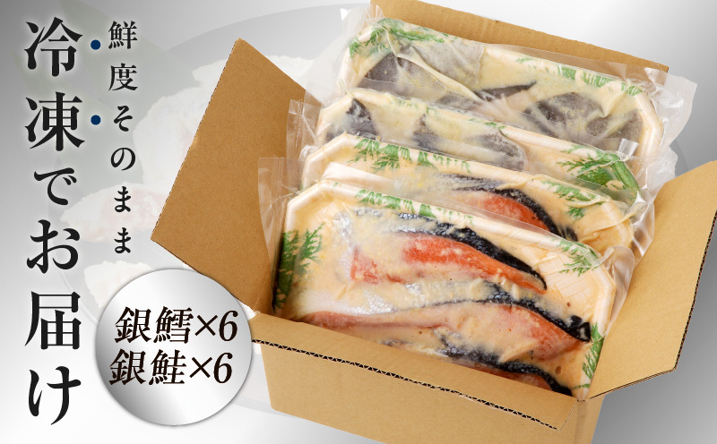 厳選 西京漬けセット 銀鱈／銀鮭 合計 12切れ 切り落とし 訳あり サイズ不揃い 099H3131_イメージ4