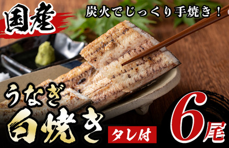 国産！うなぎ白焼き(6尾・タレ付き) 国産 九州産 鰻 ウナギ 無頭 魚 魚介類 かばやき 蒲焼 蒲焼き しろやき 白焼 おかず 特産品 お土産 ギフト プレゼント 冷蔵 【尾方屋】_y510