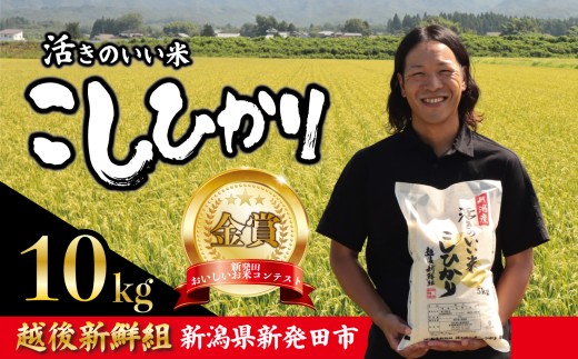 【2026年12月発送】 令和8年産 コシヒカリ 10kg こしひかり 精米 白米 ご飯 おにぎり 弁当 新潟県産 新発田産 新潟 米 お米 こめ 受賞 越後新鮮組 新潟県 米 新潟県 新発田市 shinsengumi002_202612