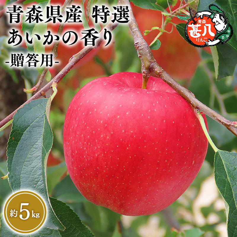 ≪選べる配送月≫ １１～１２月発送　特選　甚八りんごあいかの香り５kg　【マルジンサンアップル　11月　12月　青森県産　平川市　りんご　あいかの香り　5kg　特選　贈答用】