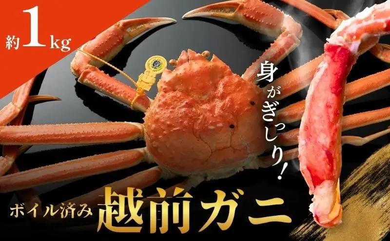 越前ガニ ボイル 約1kg ズワイガニ かに 越前ガニ