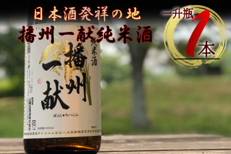 B1　日本酒発祥の地「播州一献純米酒」【 播州 酒 純米 山陽盃 山陽盃酒造 酒蔵 兵庫県産 兵庫 】