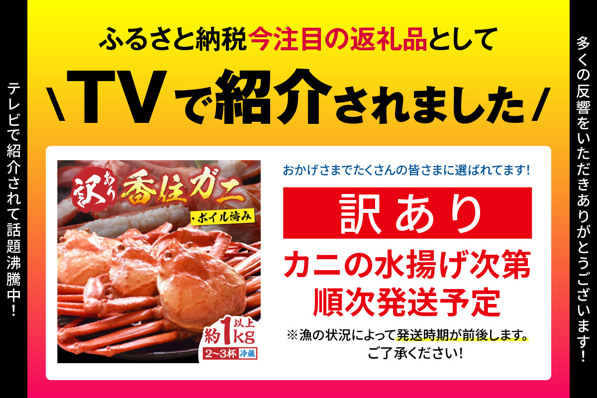 〈カンテレ「やすとも・友近のキメツケ！」で紹介！〉【訳あり 香住ガニ 浜茹で 2～3杯 約1kg以上 1～2本指落ち 冷蔵】【令和8年1月中旬以降発送予定】 TVで紹介 国産 香住 日本海 カニ かに