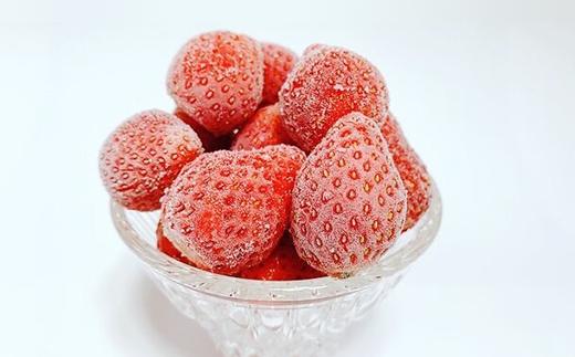完熟冷凍いちご 約1kg ＜数量限定！！＞ フレッシュベリーの完熟冷凍いちご！大中小サイズ混合約１kg やよいひめ・かおり野・紅ほっぺ・もういっこ ≪イチゴ 苺 ジャム ヨーグルト おやつ≫