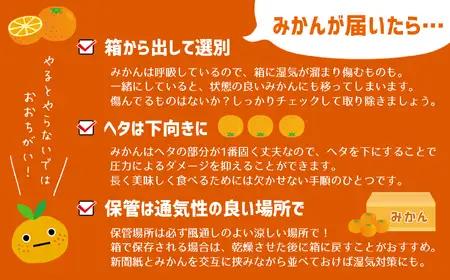 【訳あり】熊本県産 温州みかん 約16kg 味采市場