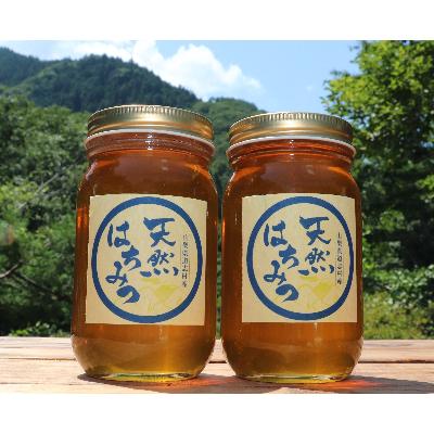 ふるさと納税 道志村 道志村産　天然はちみつ(300g×2本)