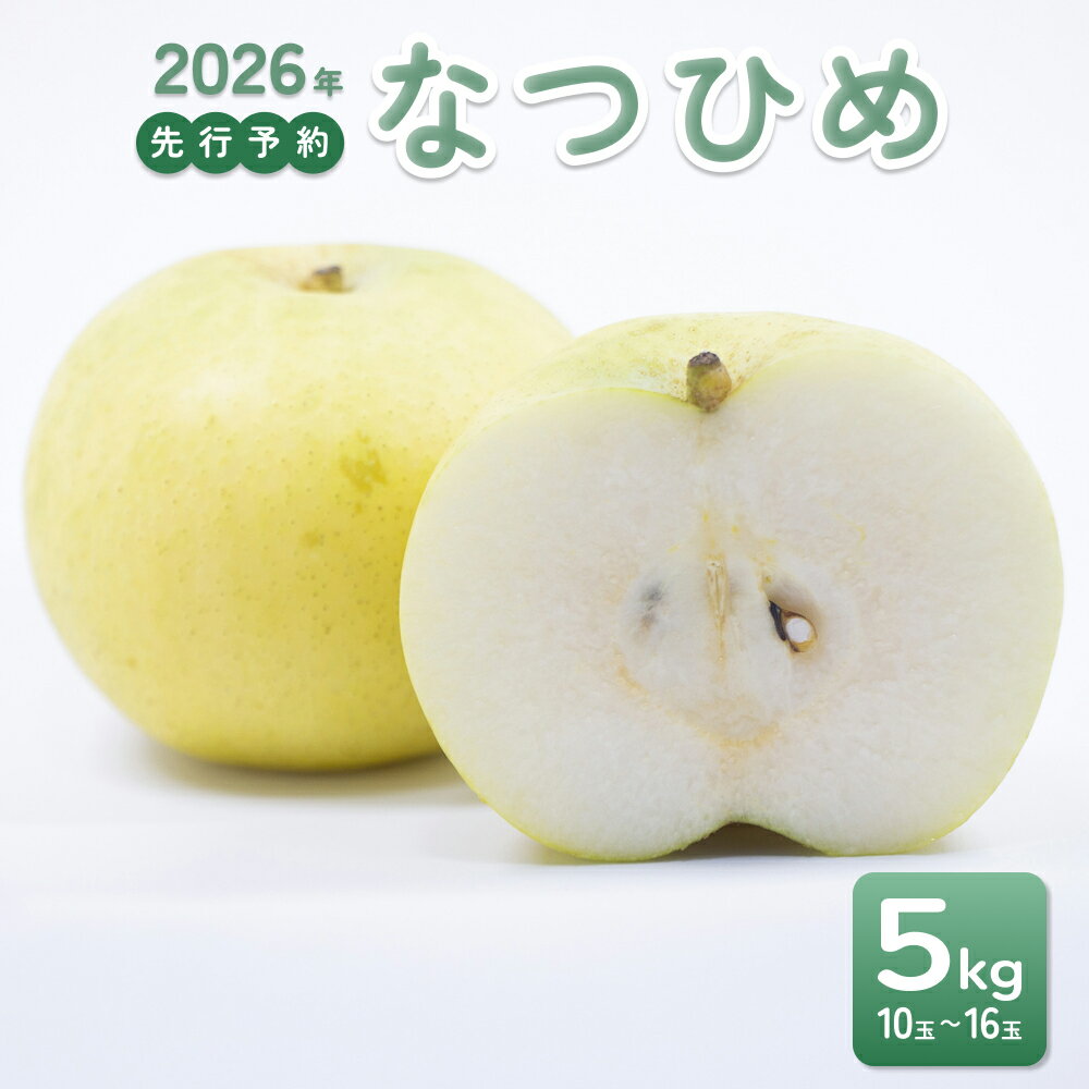【ふるさと納税】【2026年 先行予約】なつひめ 5kg｜鳥取 東光園 梨 2026年収穫後 2026年8月下旬から順次発送※着日指定不可【41067】