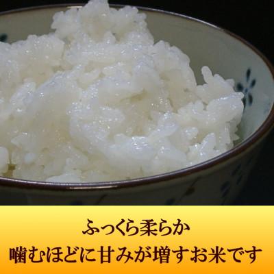 ふるさと納税 奥州市 白米 金色の風(こんじきのかぜ)米 18kg(9kg×2) 岩手県奥州市 令和6年産米[AC033] |  | 03