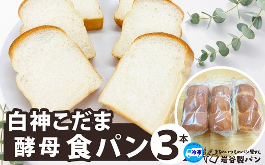 白神こだま酵母食パン（3本） 【30P3009】 【岩谷製パン(有)】