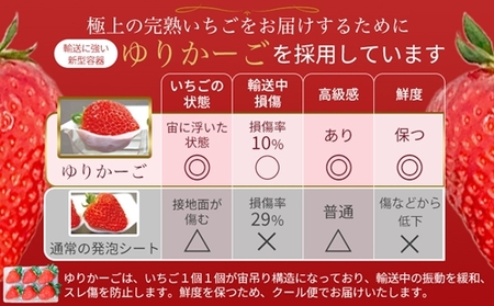 （冷蔵）（定期便） 計3回 【1月・2月・3月】 古都華 300g×2 ／ 丸笑いちご園 今朝摘み フルーツ 苺 イチゴ 果物 新鮮 完熟 朝採り 高級 甘い 奈良県 葛城市