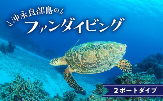 沖永良部島のファンダイビング 2ボートダイブ　W015-002u