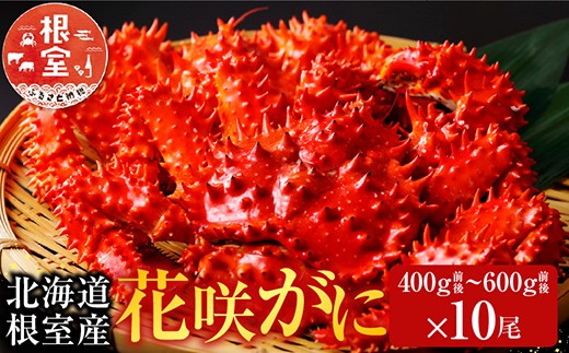 D-70007 【北海道根室産】花咲かに400～600g×10尾