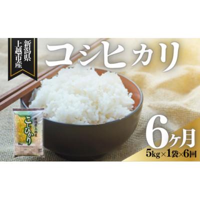 ふるさと納税 上越市 【発送月固定定期便】【2月中旬より発送予定】新潟県上越市産　コシヒカリ　精米　5kg全6回