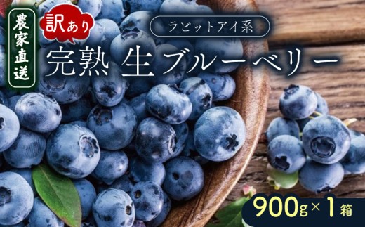 【先行予約】訳あり 完熟生ブルーベリー（ラビットアイ系）900g | 2027年発送 ブルーベリー 生 ブルーベリー 冷蔵 ベリー フルーツ 果物 くだもの 先行予約 産地直送 期間限定 数量限定 わけあり 訳アリ 生 旬 季節限定 高知県 南国市