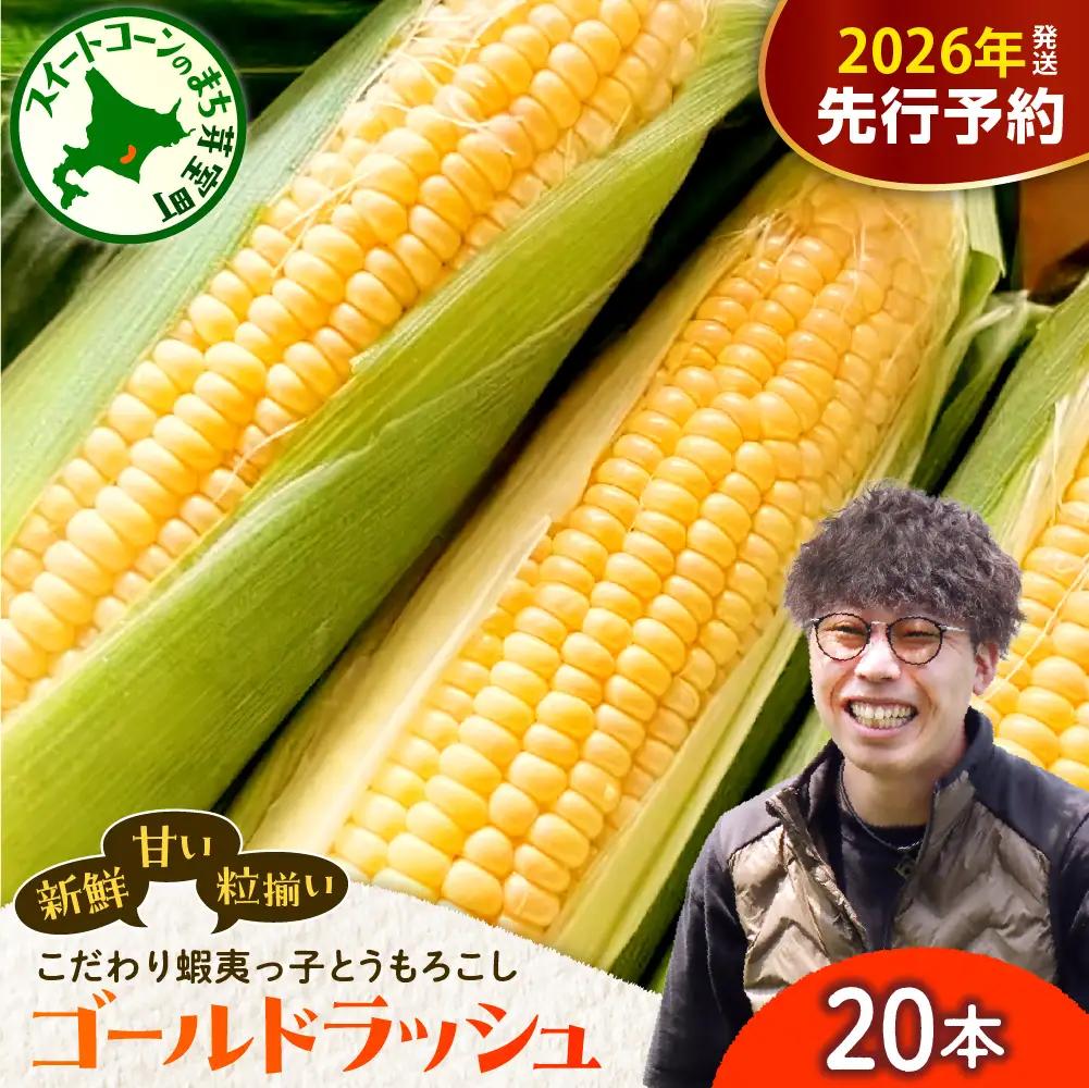 レビューキャンペーン実施中！【先行受付】【2026年7月25日～8月15日頃発送予定】朝採りをお届け！ 北海道十勝芽室町　蝦夷っ子とうもろこし ゴールドラッシュ 20本 スイートコーン ゴールドラッシュ キャンプ飯 BBQ ソロキャン人気 トウモロコシ 生 野菜 北海道 十勝 芽室町 送料無料 お取り寄せ me076-010c-26