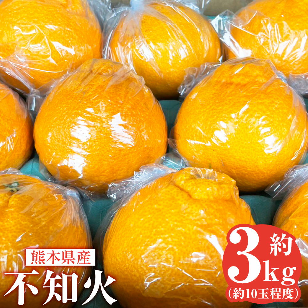 【ふるさと納税】不知火 約3kg 約10玉程度 ミカン 蜜柑 柑橘 フルーツ くだもの 果物 しらぬい 果実 国産 常温 九州 熊本県 送料無料 【2026年2月下旬発送開始】