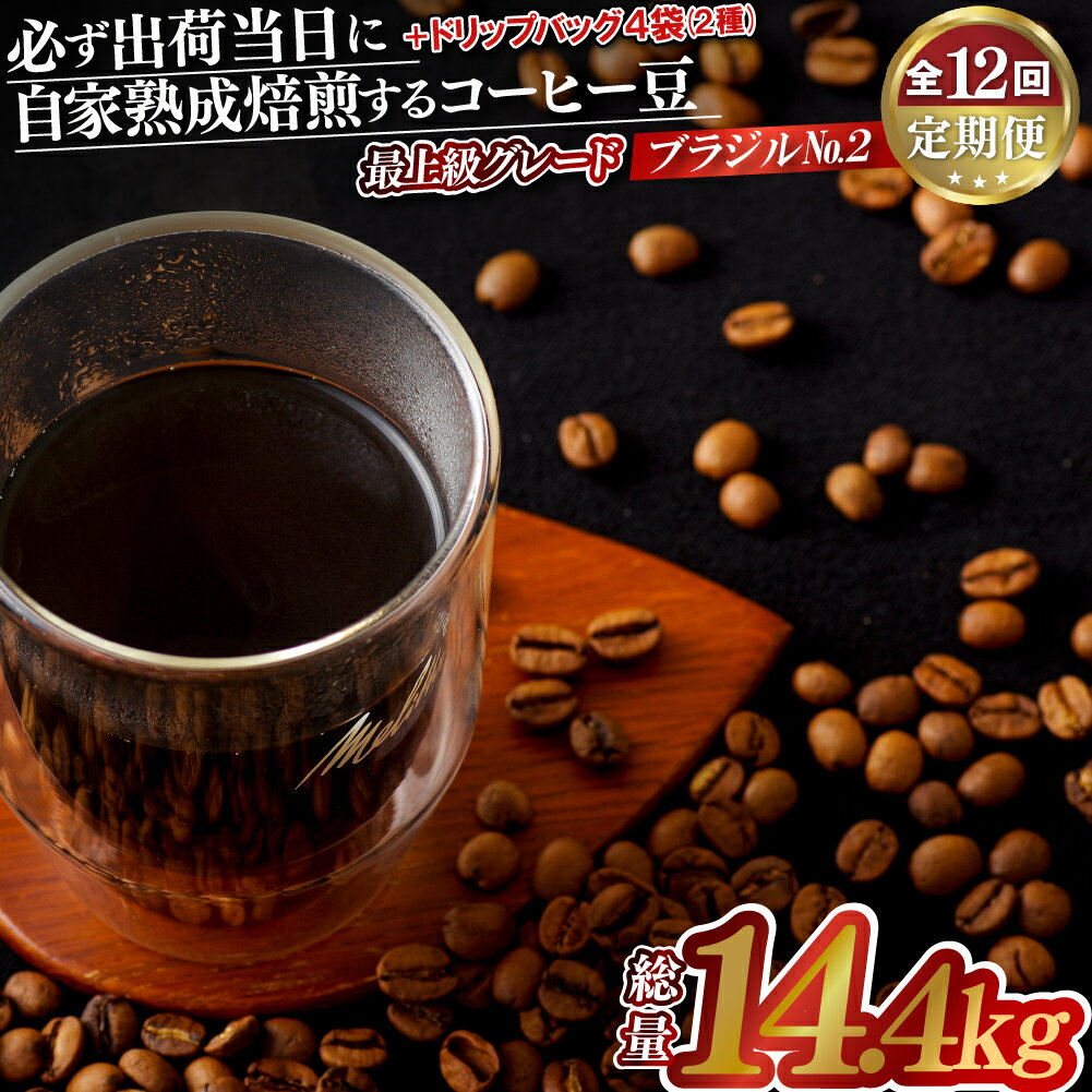 【ふるさと納税】《定期便》必ず出荷日に自家熟成焙煎ブラジルNo.2豆(1.2kg)＋ドリップバッグ4パック【12回お届け】