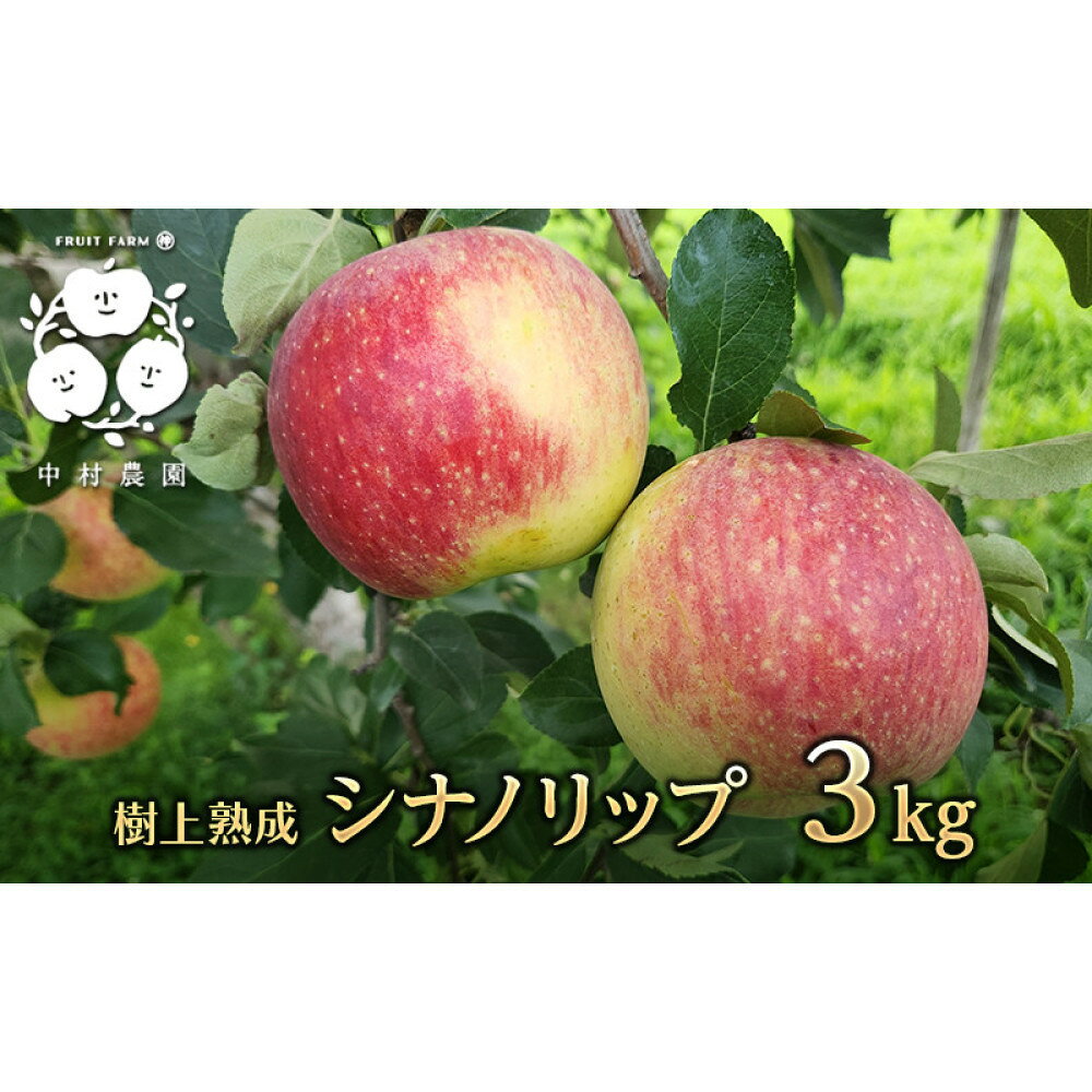 【ふるさと納税】フルーツファーム中村農園　【8月中旬発送 先行予約】樹上熟成　シナノリップ 3kg | りんご 樹上完熟 長野市 人気 おすすめ シナノリップ 信州林檎 果物 フルーツ 旬 甘み 酸味 夏りんご ギフト 家庭用 送料無料 長野県 長野市 信州 信濃 ふるさと納税