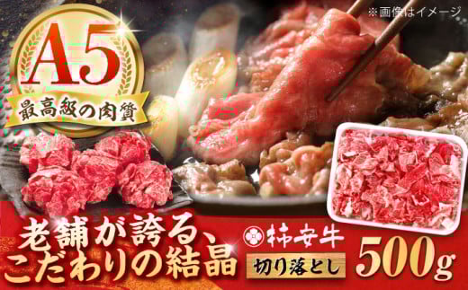 切り落とし 500g 最高級A5等級 三重県産黒毛和牛 柿安牛  / a5 切り落とし 牛肉 冷蔵 国産牛肉 和牛 牛肉 切り落とし肉 牛肉 冷蔵 切り落とし すき焼き / 亀山市 / 柿安本店 [AMBW001]