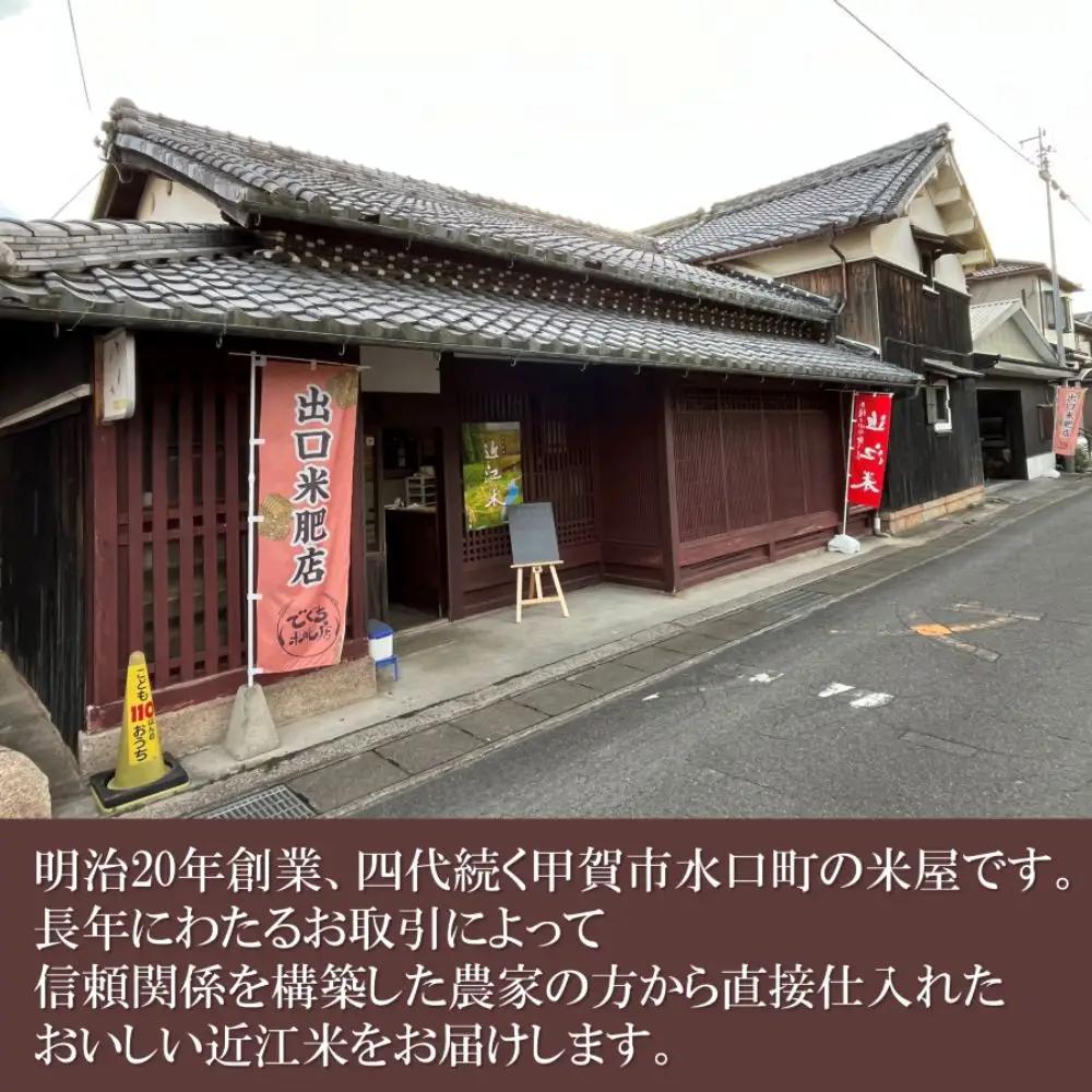【令和7年産】近江米コシヒカリ白米10kg（5kg×2袋）