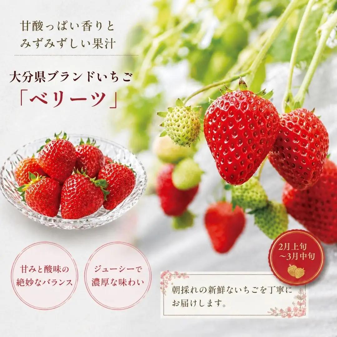 フルーツ食べ比べ 旬のフルーツ定期便 3回