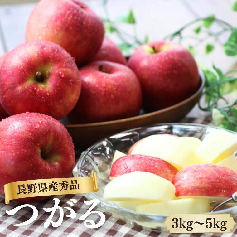 【ふるさと納税】りんご つがる（長野県産秀品）選べる3kg or 5kg／9月上旬～9月中旬頃配送予定 // 長野県 南信州 サンつがる りんご 果物 フルーツ MS04