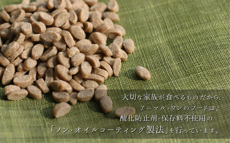 アニマル・ワン 雑穀ごはん  800g×1袋 | 愛犬 犬 ドッグフード 雑穀 国産 無添加 プレミアム 熊本県 玉名市