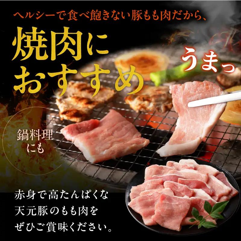 豚肉 天元豚 もも 焼肉用 600g